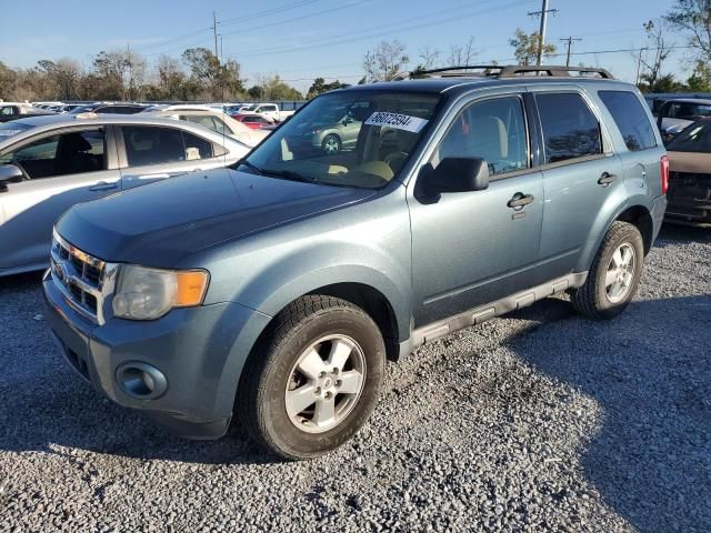 2011 Ford Escape XLT