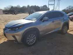 Lexus Vehiculos salvage en venta: 2021 Lexus NX 300 Base