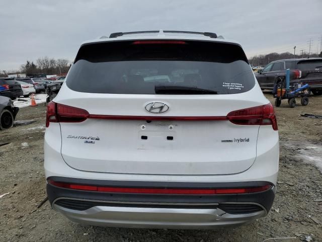 2023 Hyundai Santa FE Blue