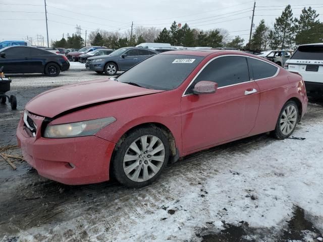 2010 Honda Accord EXL