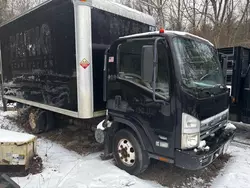 Isuzu salvage cars for sale: 2007 Isuzu NPR