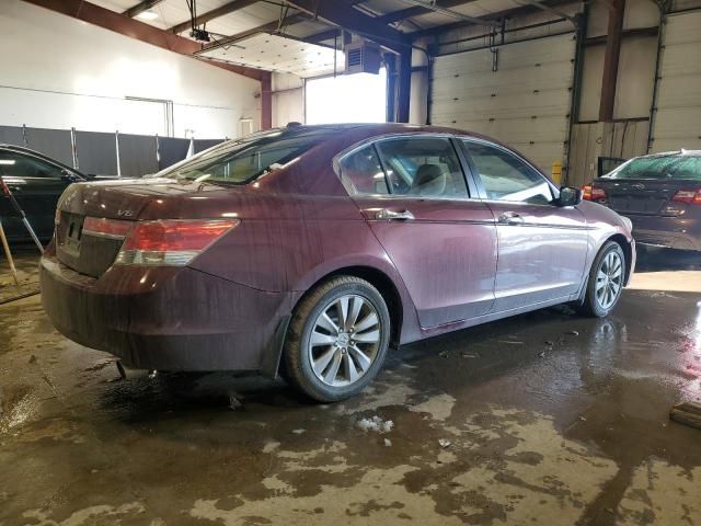 2011 Honda Accord EXL