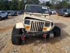 1993 Jeep Wrangler / YJ