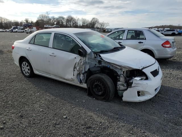 2010 Toyota Corolla Base