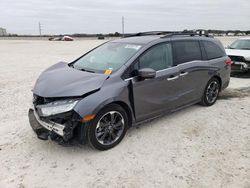 Salvage cars for sale at auction: 2022 Honda Odyssey Elite