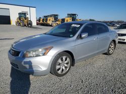 Salvage cars for sale at Lumberton, NC auction: 2010 Honda Accord EXL