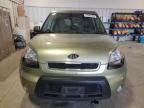 2010 KIA Soul +