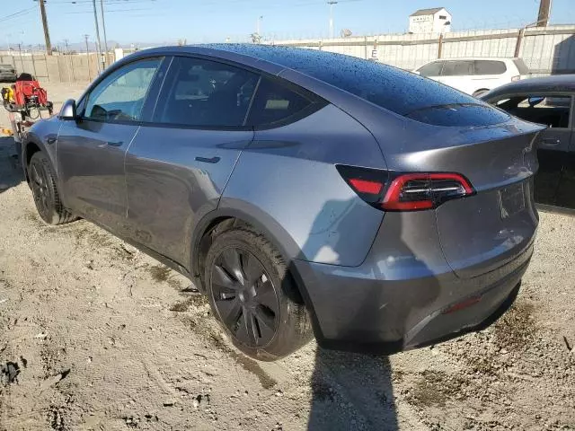 2025 Tesla Model Y