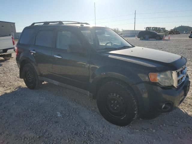 2009 Ford Escape XLT