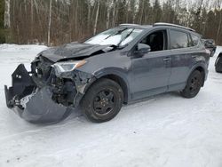 Toyota rav4 le Vehiculos salvage en venta: 2016 Toyota Rav4 LE