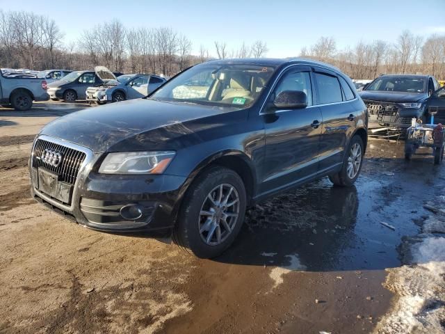 2010 Audi Q5 Premium Plus