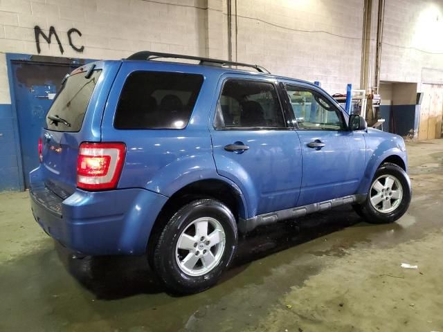 2009 Ford Escape XLT