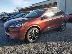 Ford salvage cars for sale: 2021 Ford Escape SE