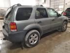 2006 Ford Escape XLT