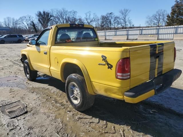 1999 Dodge Dakota