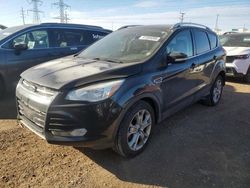 Vehiculos salvage en venta de Copart Elgin, IL: 2015 Ford Escape Titanium