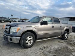 Salvage Cars with No Bids Yet For Sale at auction: 2014 Ford F150 Supercrew