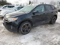 2013 Ford Edge SEL en venta en Bowmanville, ON