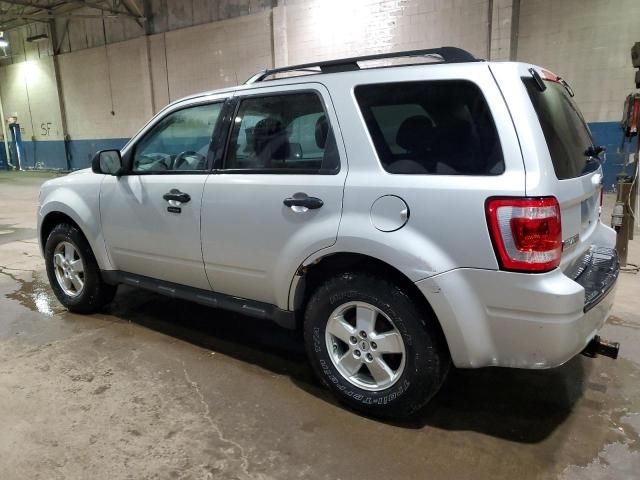 2009 Ford Escape XLT