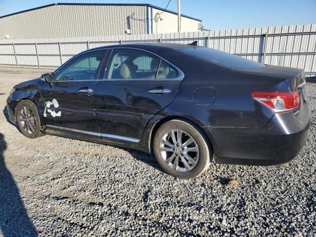 2010 Lexus ES 350