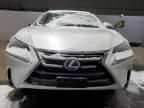 2017 Lexus NX 300H