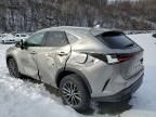 2023 Lexus NX 350