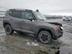 2017 Jeep Renegade Trailhawk