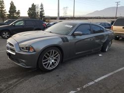 2011 Dodge Charger en venta en Rancho Cucamonga, CA