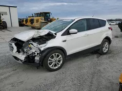 Salvage cars for sale at Lumberton, NC auction: 2019 Ford Escape SE