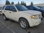 2009 Ford Escape Hybrid