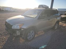 Salvage cars for sale at Phoenix, AZ auction: 2010 Toyota Rav4