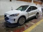 2020 Ford Escape SE Sport