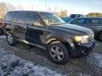 2010 Ford Escape XLS