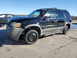 Salvage cars for sale from Copart Grand Prairie, TX: 2002 Ford Escape XLT