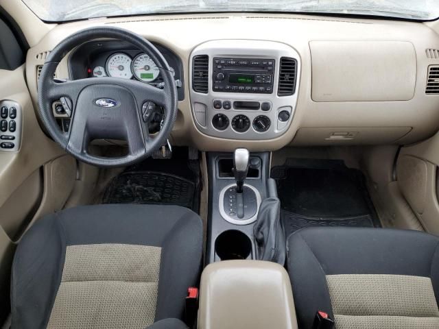 2007 Ford Escape XLT