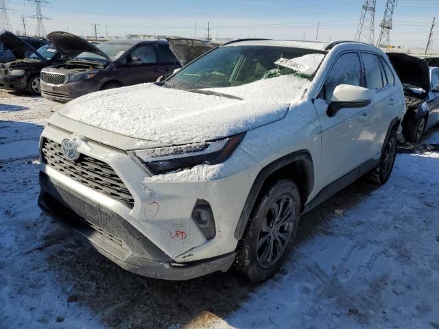 2022 Toyota Rav4 XLE Premium