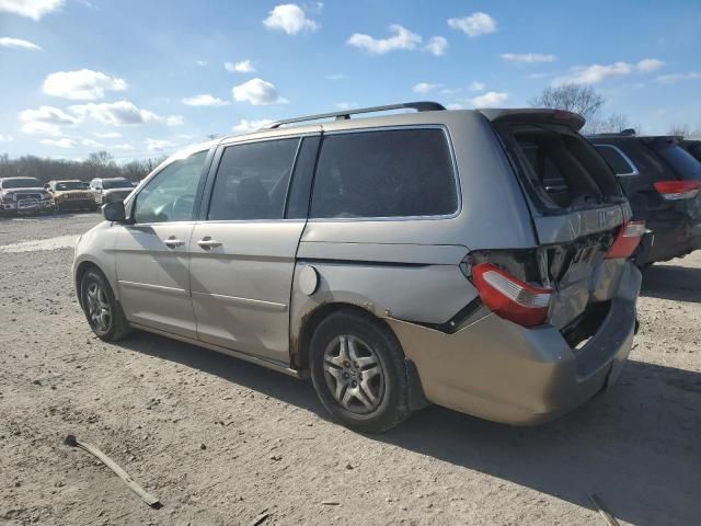 2005 Honda Odyssey EXL