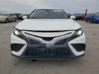 2023 Toyota Camry SE Night Shade