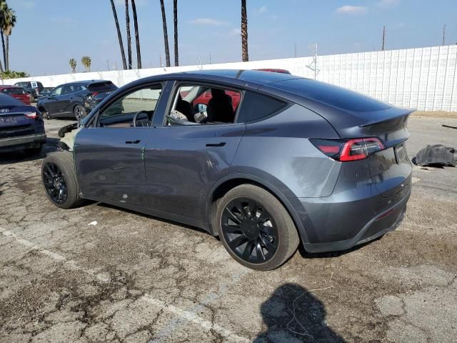 2020 Tesla Model Y