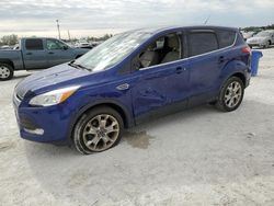 Ford Escape sel salvage cars for sale: 2013 Ford Escape SEL