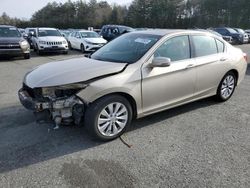 Salvage Cars with No Bids Yet For Sale at auction: 2013 Honda Accord EXL