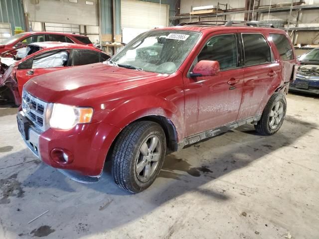 2011 Ford Escape Limited