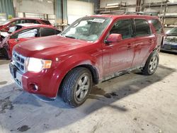 Ford Escape salvage cars for sale: 2011 Ford Escape Limited