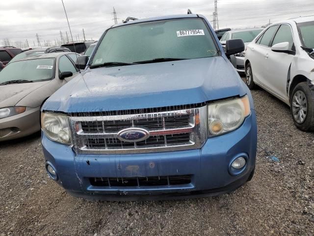 2010 Ford Escape XLT