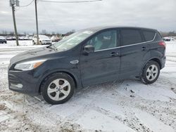 Salvage cars for sale at Portland, MI auction: 2014 Ford Escape SE