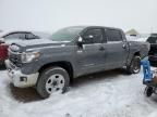 2021 Toyota Tundra Crewmax SR5