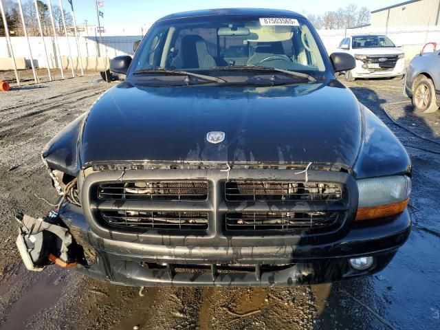 2003 Dodge Dakota RT