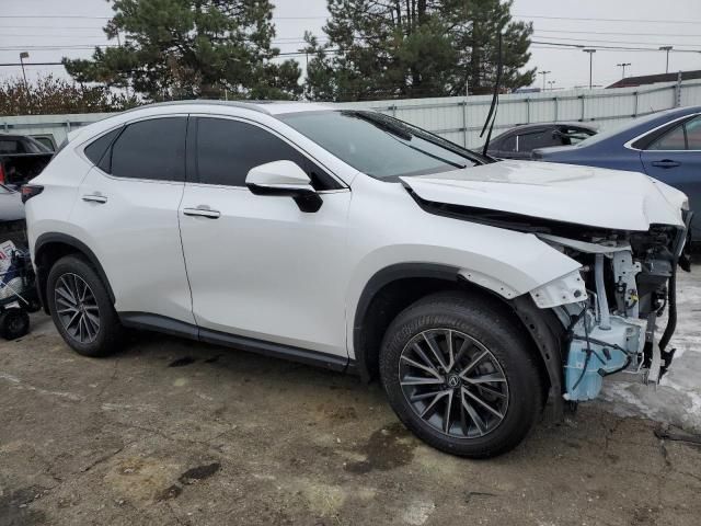 2024 Lexus NX 250 Base