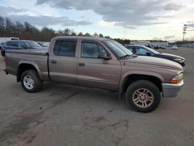 2001 Dodge Dakota Quattro