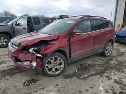 Salvage cars for sale at Duryea, PA auction: 2013 Ford Escape SEL